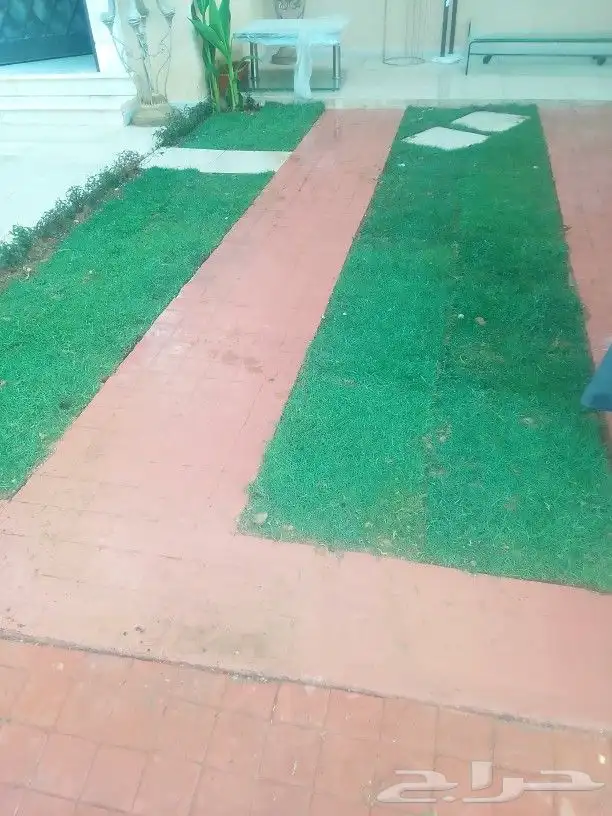 تنسيق حدائق وزراعه التيل وتركيب شبكة الري 2