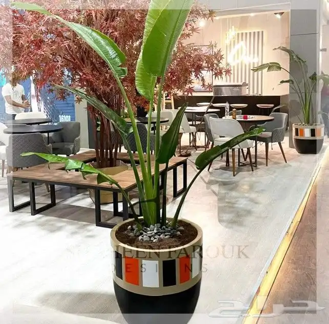 احوض فيبر جلاس 8