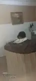 سونا صحيه الماني وبسعر مغري 0