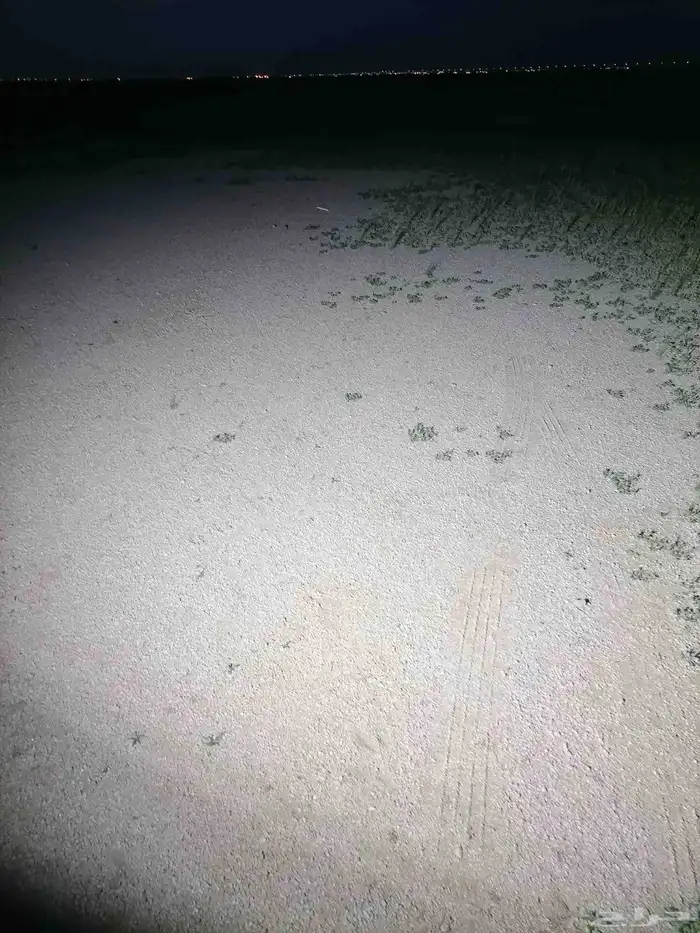 كبس ليد جديد بكرتونه 3