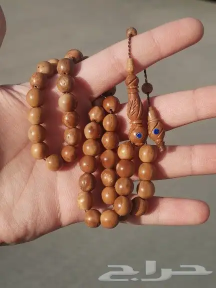 كوك شاهد و تمليكة منقوش 1