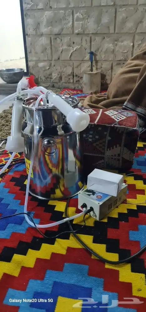 حلابة ماعز 1
