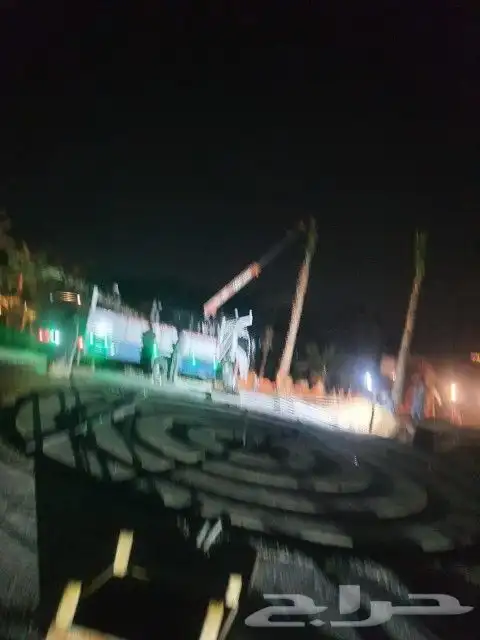 اشجار الزيتون ونخيل وشنطوني 13