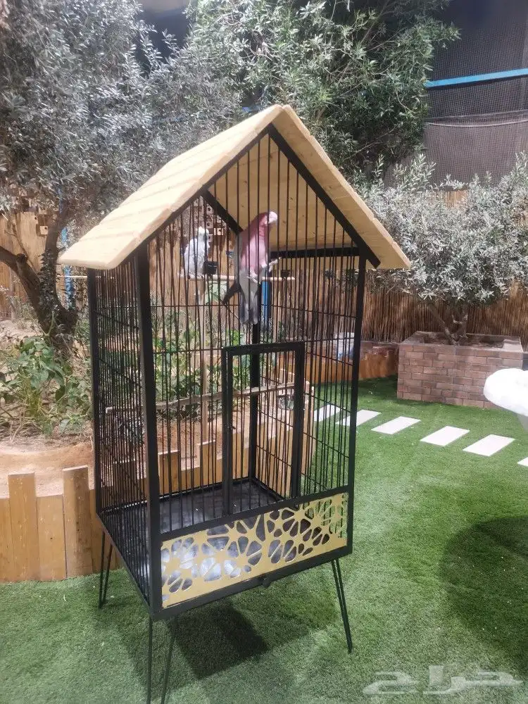 قفص ببغاء 6