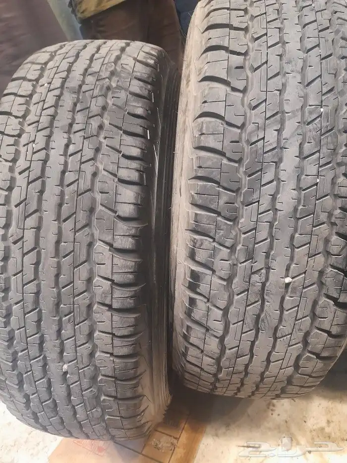 كفرات دلوب يباني خوات الجديد تاريخ نهايت 22 افجي وكاله 0