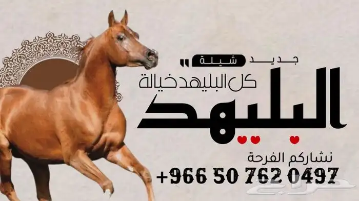 شيلة العيد شيلة زواج شيلة عريس شيلة تخرج شيلة عروس 4