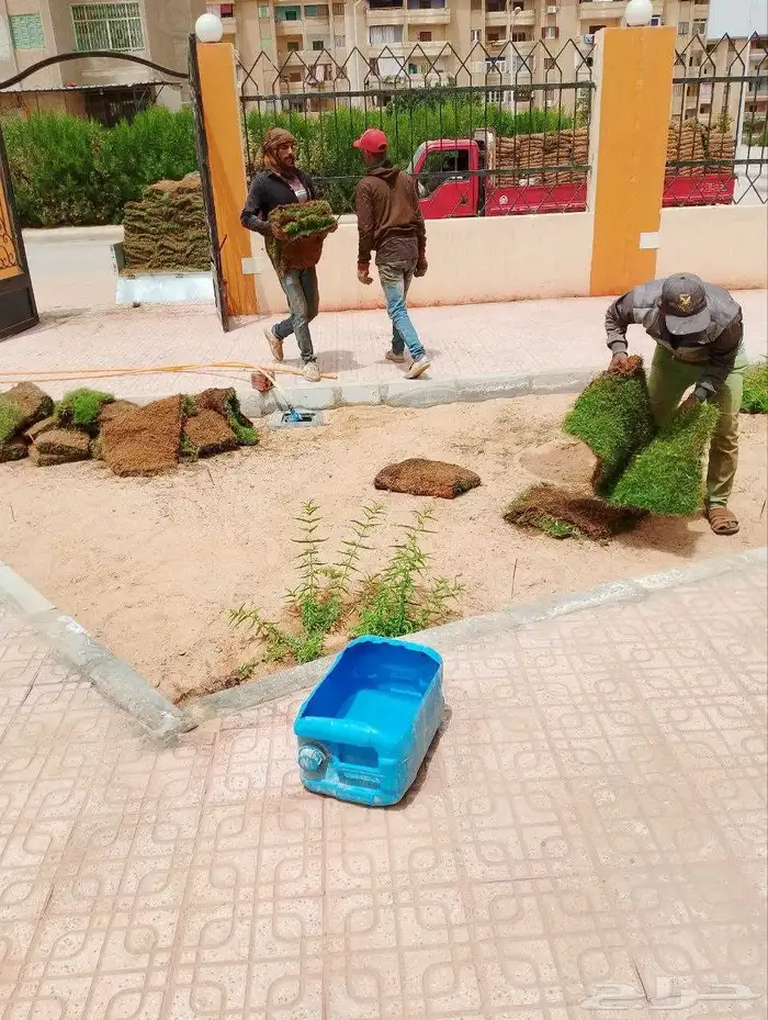 مشتل النبته المميزه 7