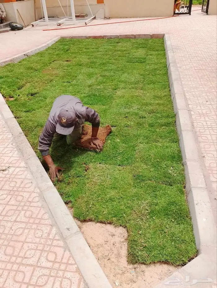 مشتل النبته المميزه 8