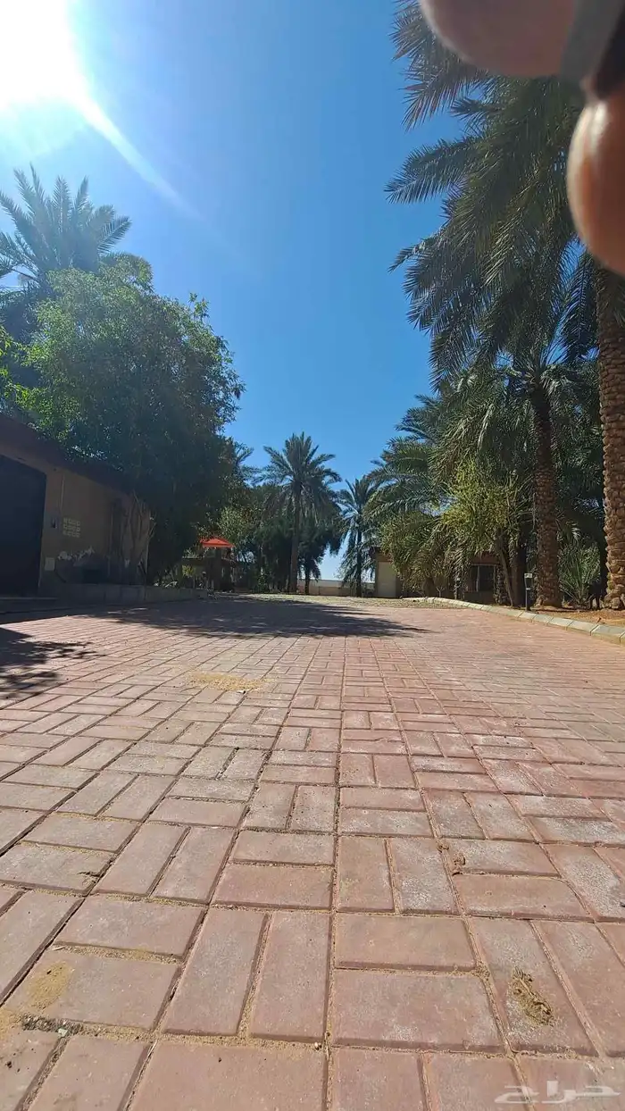 مزرعة ريفية وسط عنيزة للايجار اليومي 150 ريال عرض 6