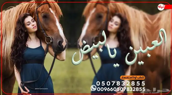 استديو احلام الطرب لتنفيذ الزفات والشيلات 3