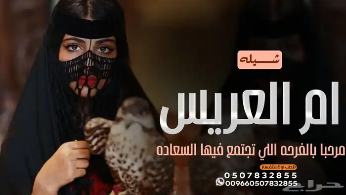 استديو احلام الطرب لتنفيذ الزفات والشيلات 8