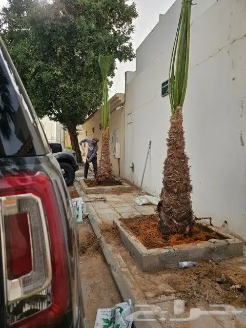 مشتل تنسيق حدائق 5