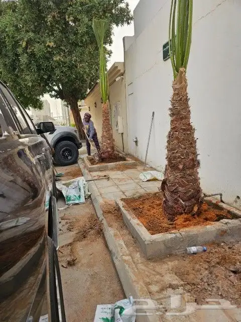 مشتل تنسيق حدائق 4