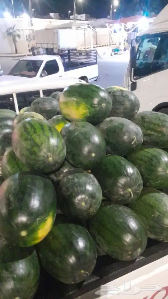 بطيخ شرط احمر وحالي 0