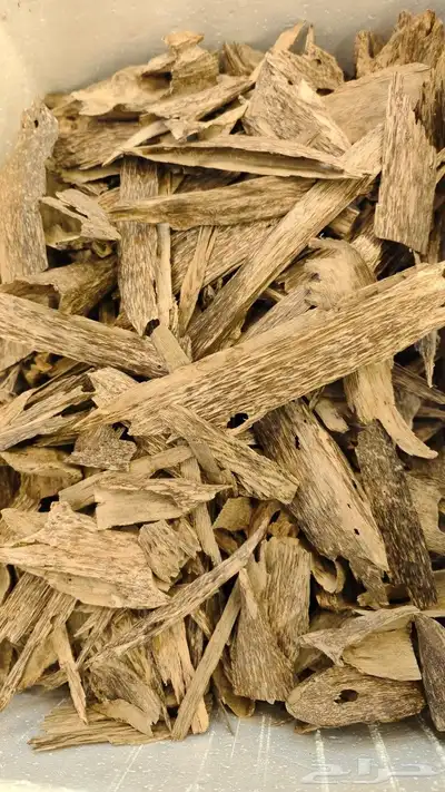 عود سومطري طبيعي منظف 0