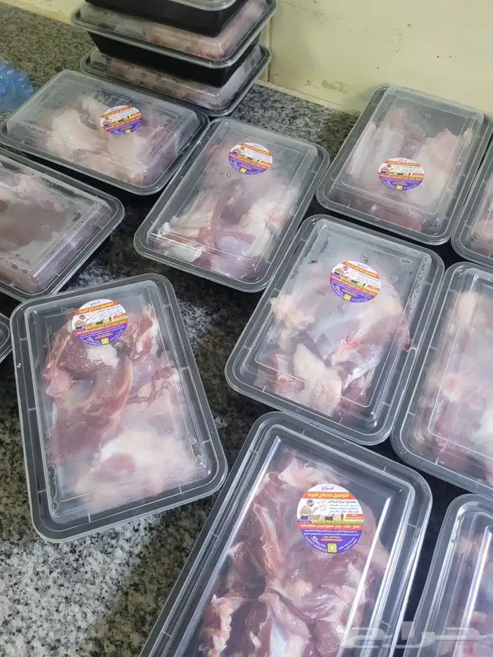 ذبيحتك حري فاخر لباب بيتك وسواكني مربى 2