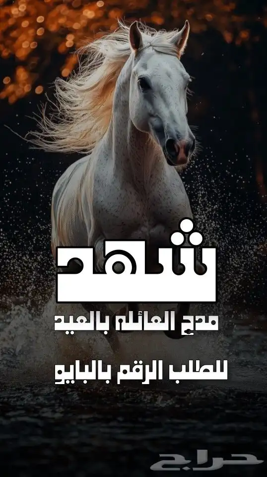 استديو احلام الطرب لتنفيذ الزفات والشيلات والقصائد الشعرية 5