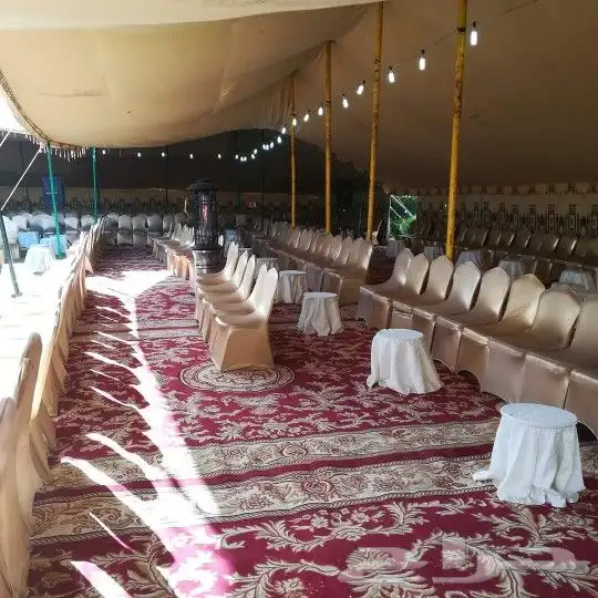 تاجير قهوجين وصبابين رجال ونساء كنب وكراسي زل طاولات ومضلات 7