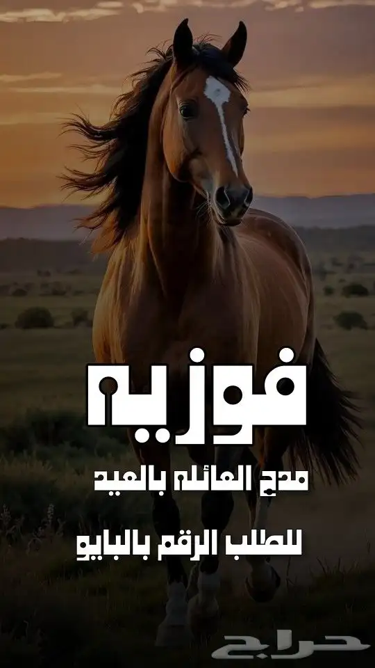 استديو احلام الطرب لتنفيذ الزفات والشيلات والقصائد الشعرية 0