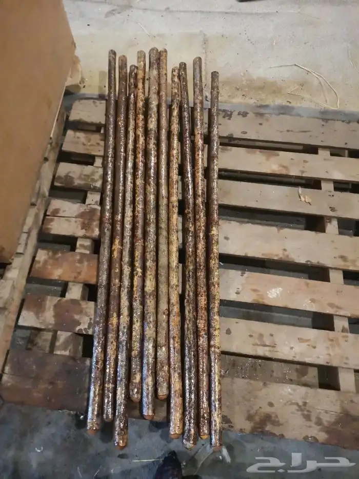 عصي شوم جاهز مسقي 1