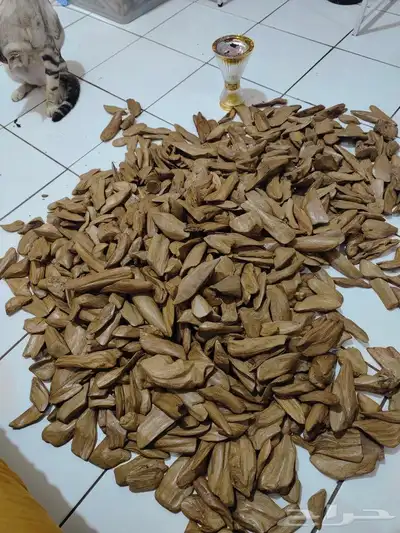 مروكي اصقون 1
