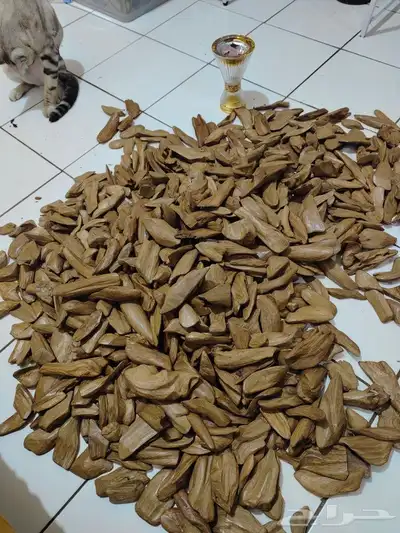 مروكي اصقون 0