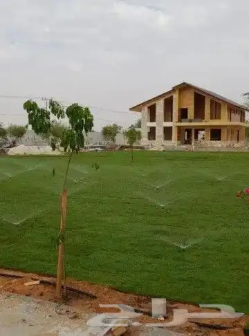 تنسيق الحدائق الطبيعي التيل والنخيل والاشجار 6