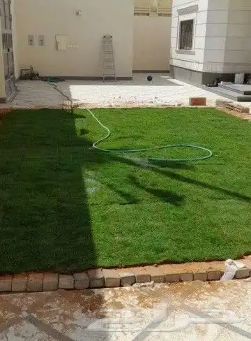 تنسيق الحدائق الطبيعي التيل والنخيل والاشجار 5