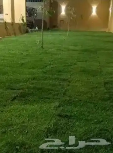 تنسيق الحدائق الطبيعي التيل والنخيل والاشجار 2