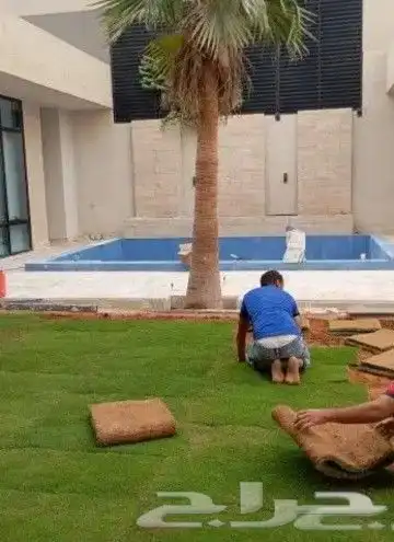 تنسيق الحدائق الطبيعي التيل والنخيل والاشجار 0