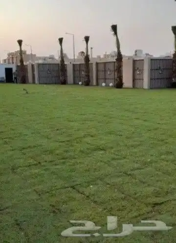 تنسيق الحدائق الطبيعي التيل والنخيل والاشجار 1