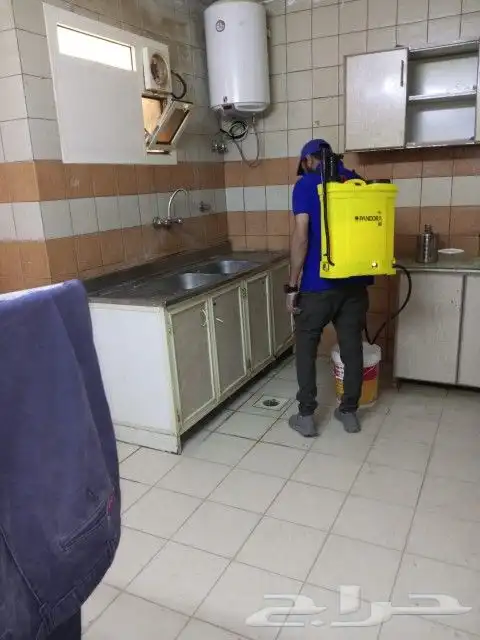 إعلان هام من شركة ليدو لمكافحة الحشرات والنظافة العامة في 6