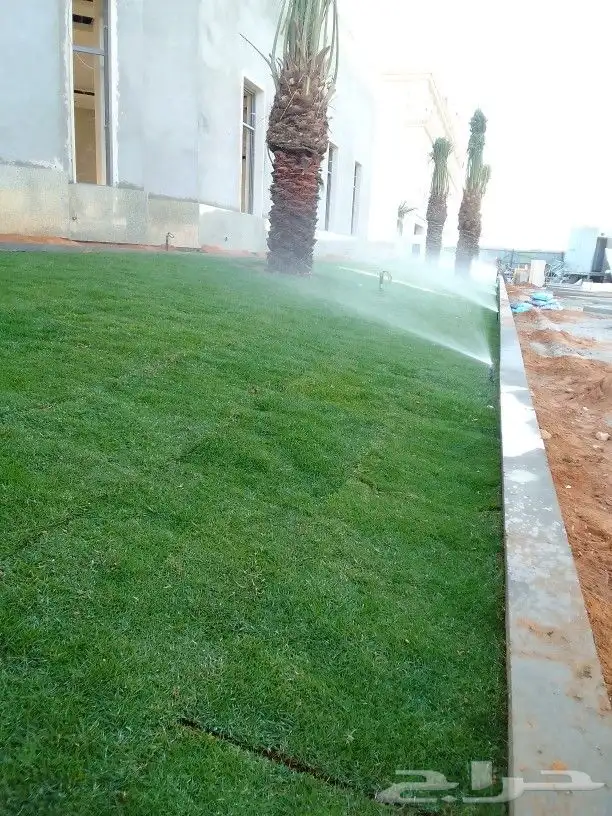 تنسيق حدائق 4