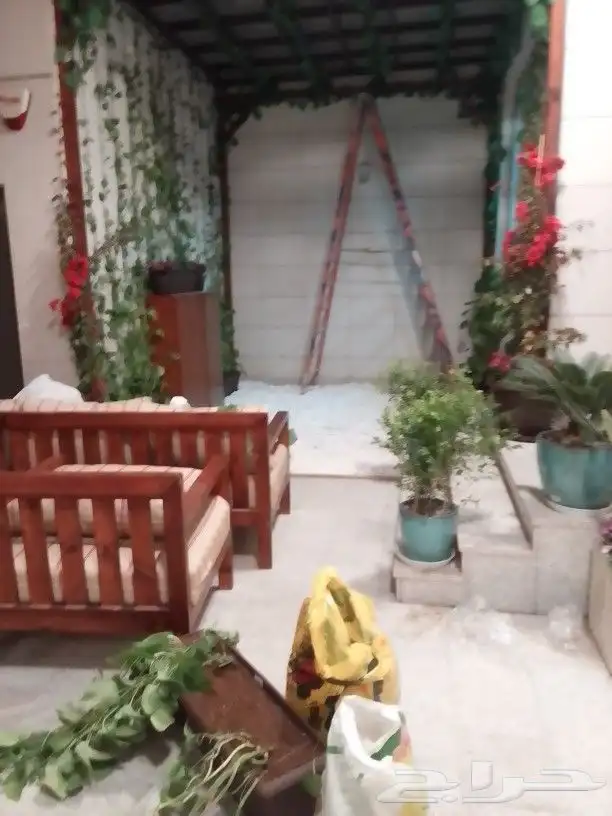 تنسيق حدائق 9