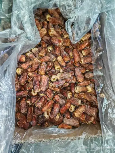 تمور حائل النوع داحسية 0