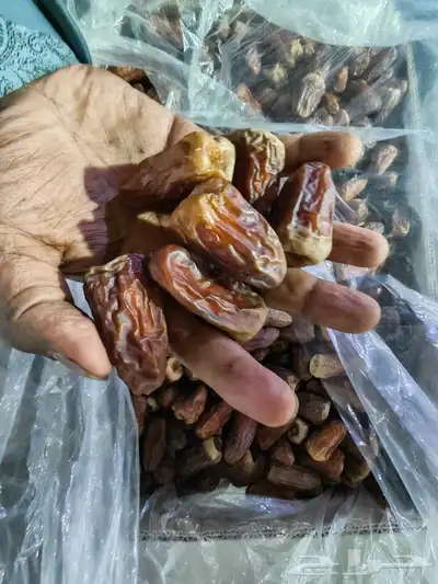 تمور حائل النوع داحسية 2