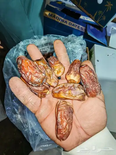 تمور حائل النوع داحسية 1
