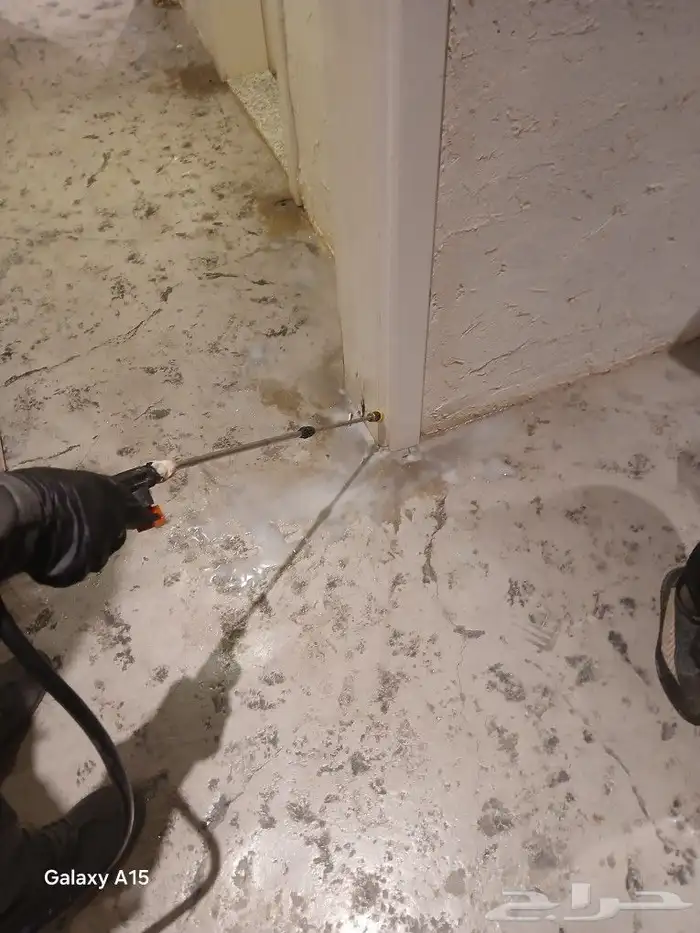 إعلان هام من شركة ليدو لمكافحة الحشرات والنظافة العامة في 7