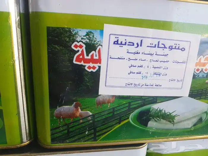 جبنه عرب مقليه 1