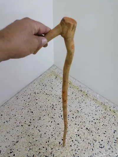 مشعاب شوحط ( تم البيع ) 12