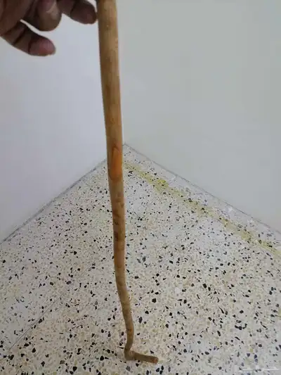 مشعاب شوحط ( تم البيع ) 14