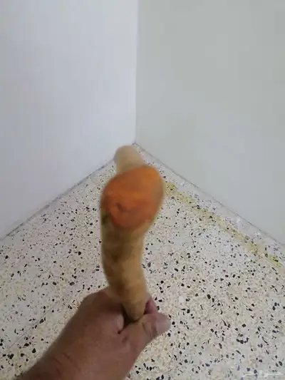 مشعاب شوحط ( تم البيع ) 10