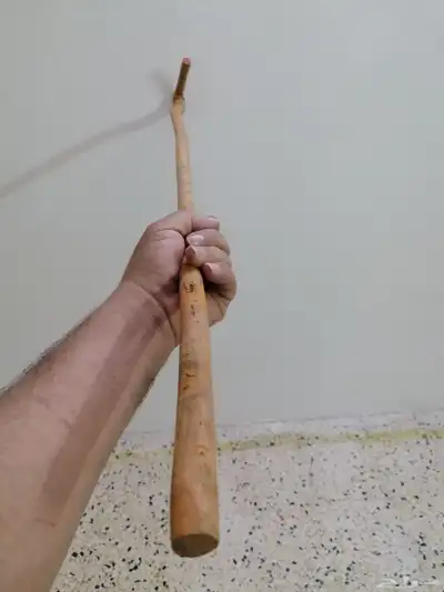 مشعاب شوحط ( تم البيع ) 6