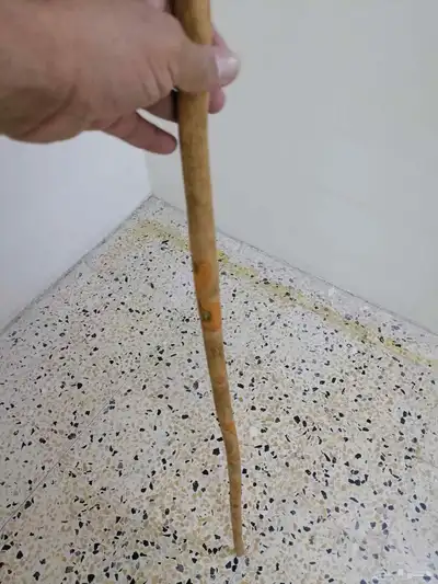 مشعاب شوحط ( تم البيع ) 15