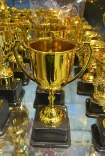 هدايا زواج تخرج تقاعد ترقيه درع بشت مشلح سيف 35