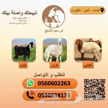 ذبيح بأسعار مناسبة 0