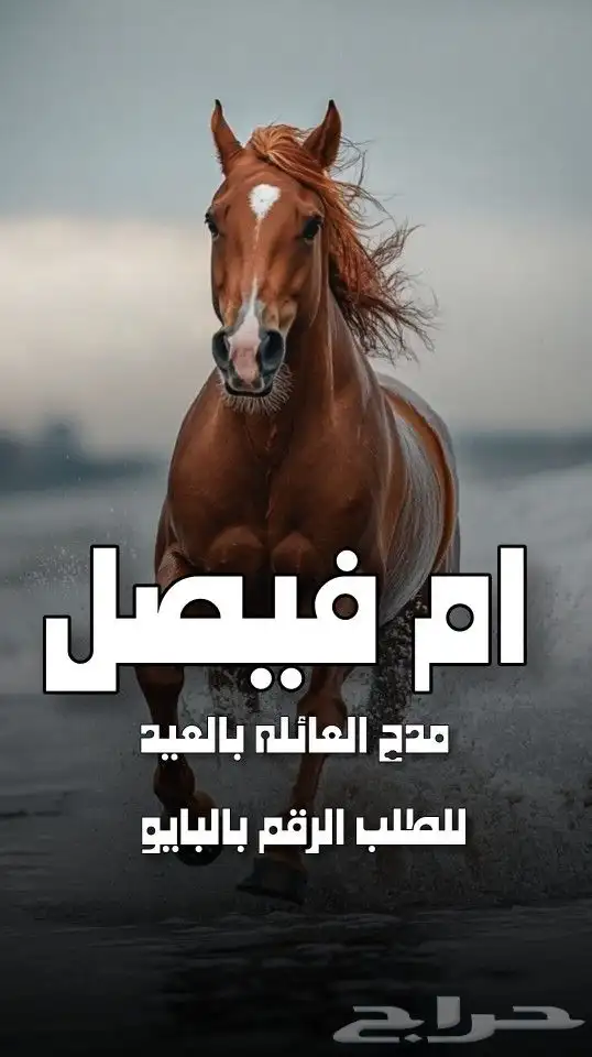 استديو احلام الطرب لتنفيذ الزفات والشيلات والقصائد الشعرية 10