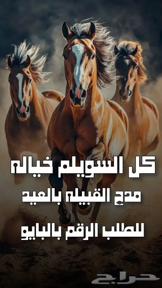 استديو احلام الطرب لتنفيذ الزفات والشيلات والقصائد الشعرية 2