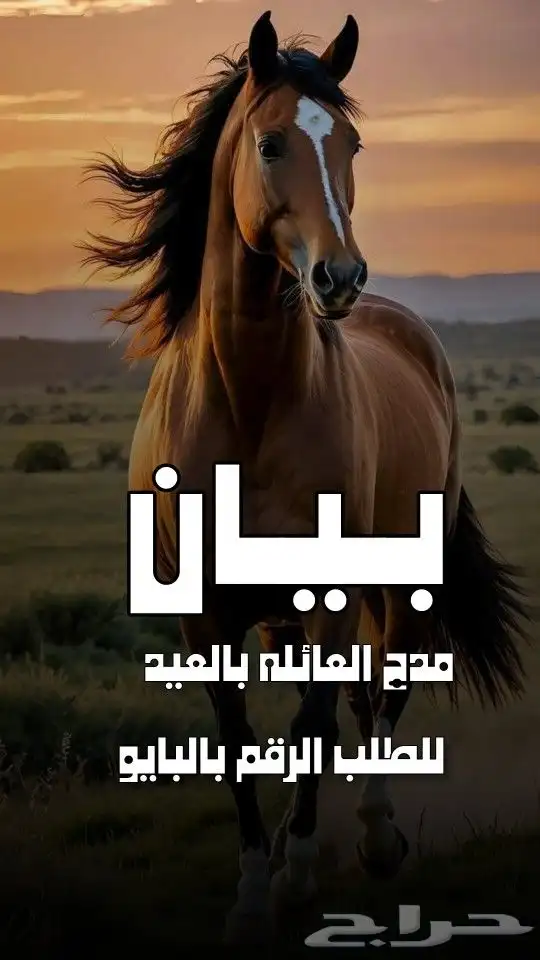 استديو احلام الطرب لتنفيذ الزفات والشيلات والقصائد الشعرية 11