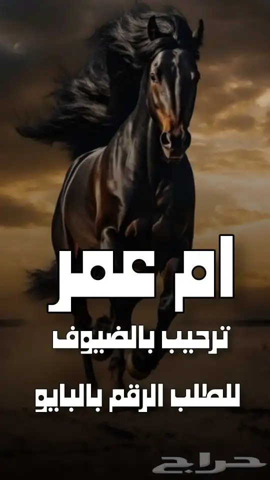 استديو احلام الطرب لتنفيذ الزفات والشيلات والقصائد الشعرية 3